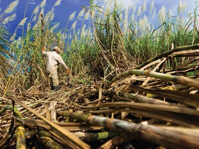 El territorio que aprendió a cómo producir futuro
