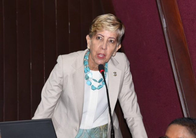 Senadora de Puerto Plata aclara cancelación de concierto de Yailin en anfiteatro