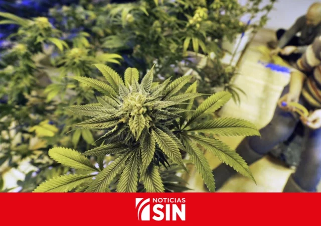 El zar antidrogas dice que Bolivia «ha sido» y «es un refugio de narcotraficantes»