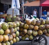 Las Bahamas se perfila como mercado para la expansión del coco