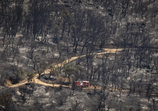 El incendio sigue amenazando Les Gavarres (Girona), donde podría arrasar 30.000 hectáreas