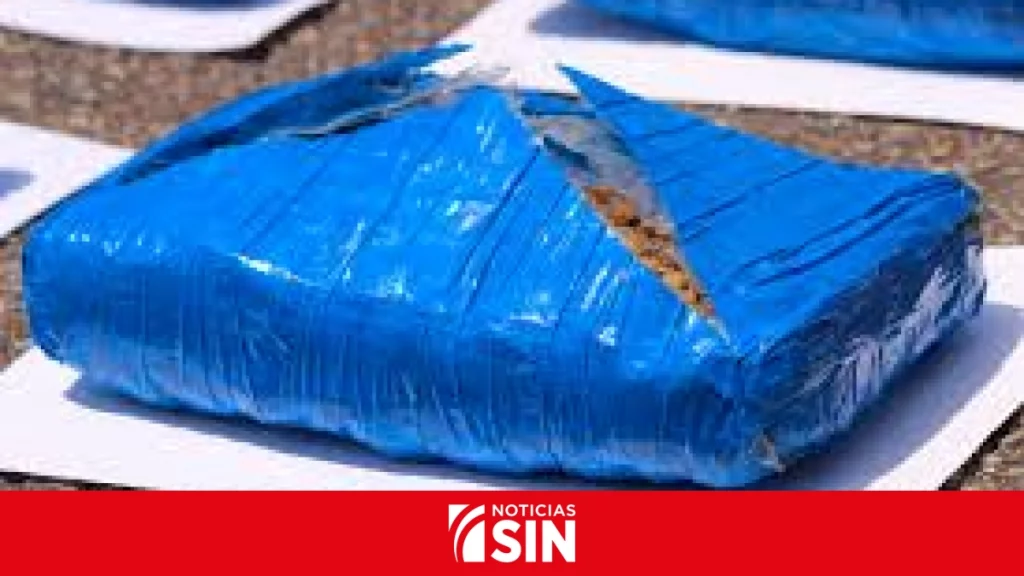 La Policía de Venezuela incauta más de 1.600 kilos de marihuana en el oeste del país