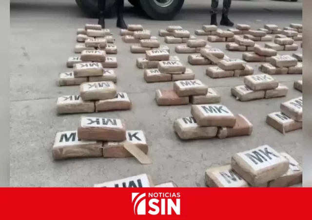 Hallan 600 kilogramos de cocaína en un tráiler en una provincia de la costa ecuatoriana