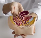 Tecnologías de alta precisión amplían opciones frente al cáncer urológico