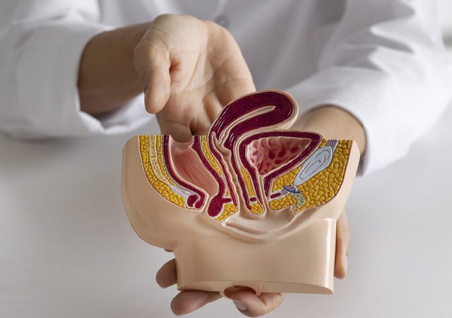 Tecnologías de alta precisión amplían opciones frente al cáncer urológico