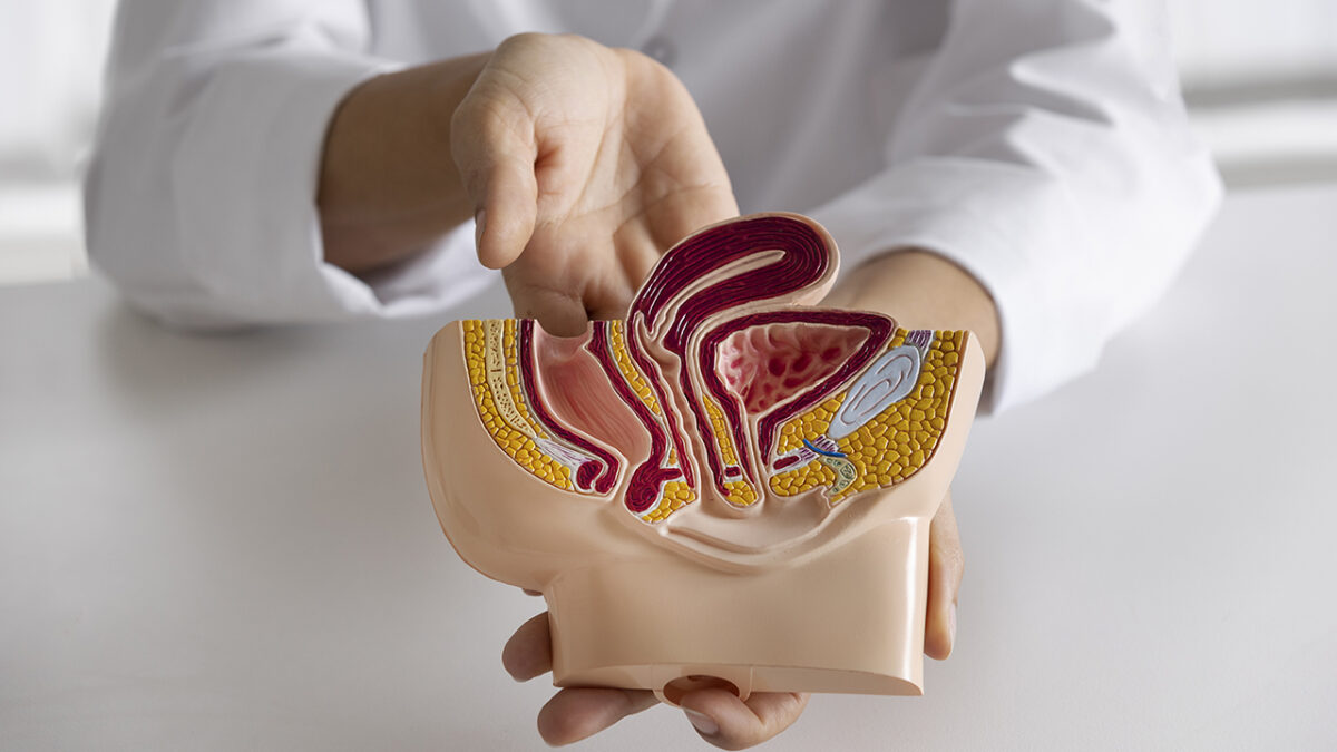 Tecnologías de alta precisión amplían opciones frente al cáncer urológico