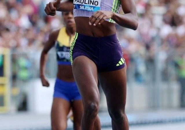 ¿Cuál es el proceso para formar un atleta élite?
