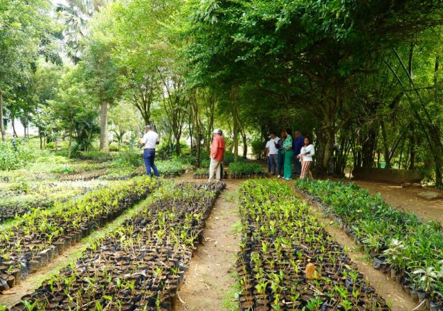 Digecac realizará Primer Festival de Plantas 2026
