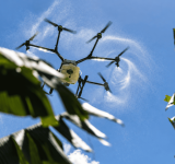 Sector agropecuario en República Dominicana pide tecnología y relevo
