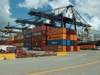 Importaciones del agro crecen 78.5 % en seis años y siguen al alza