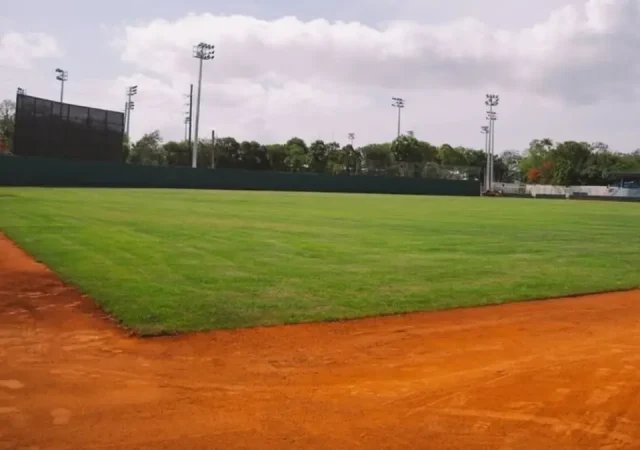 Estadios de béisbol del Olímpico serán habilitados