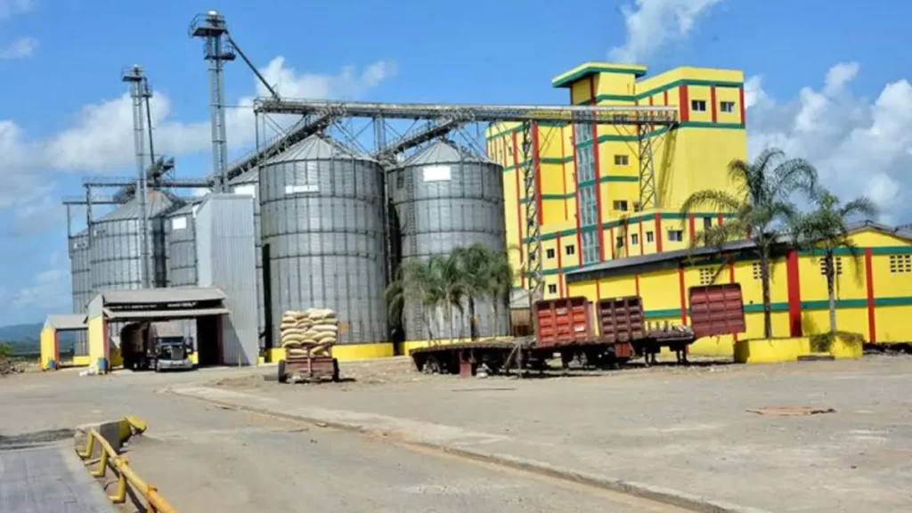 Una factoría de arroz cuesta hasta 500 millones de dólares