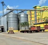 Una factoría de arroz cuesta hasta 500 millones de dólares