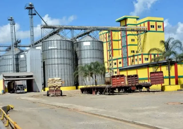 Una factoría de arroz cuesta hasta 500 millones de dólares